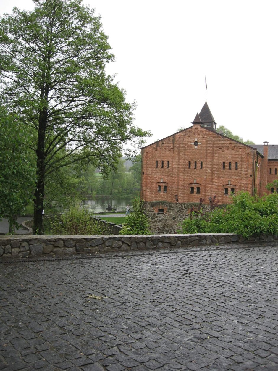 Замок Радомысль