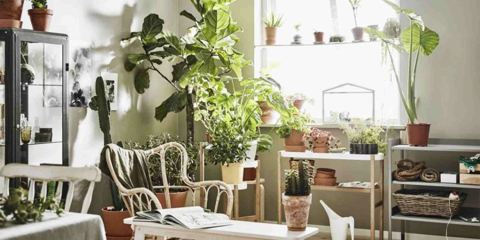 Мебель в виде цветов и растений