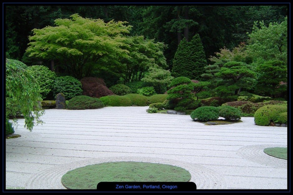 Живые пейзажи. Сад камней (дзен сад) (Living Landscapes. Zen Garden) (2010)