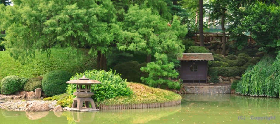 Японский сад дзен