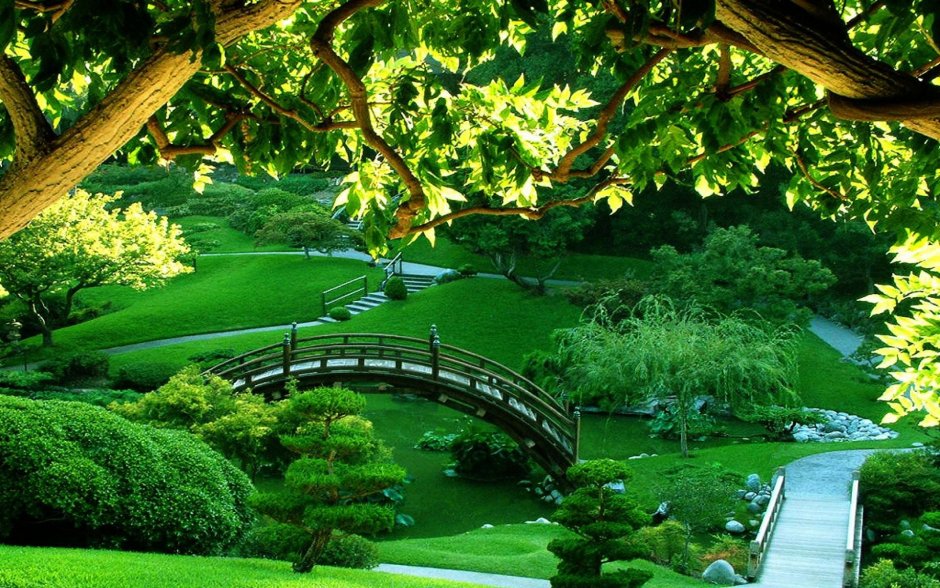 Красивый зеленый парк