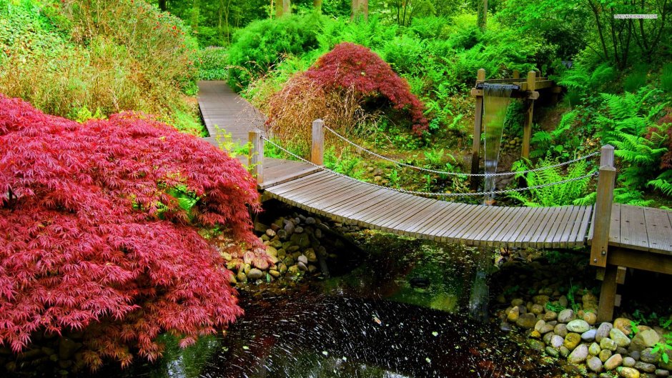 Япония Киото парки и сады