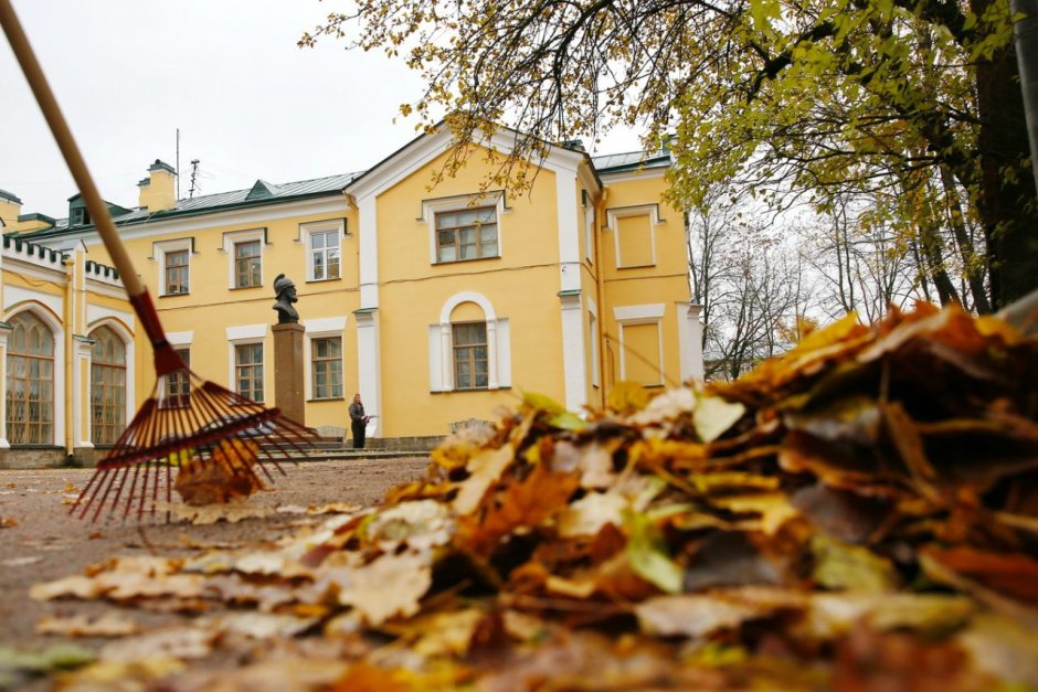 Стрельна осенью