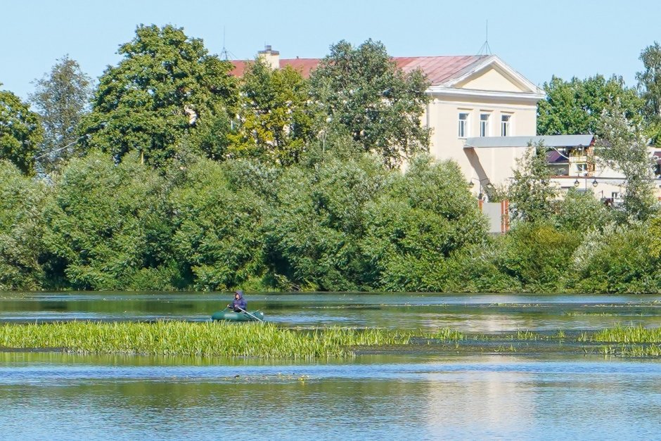 Рыба Стрельна