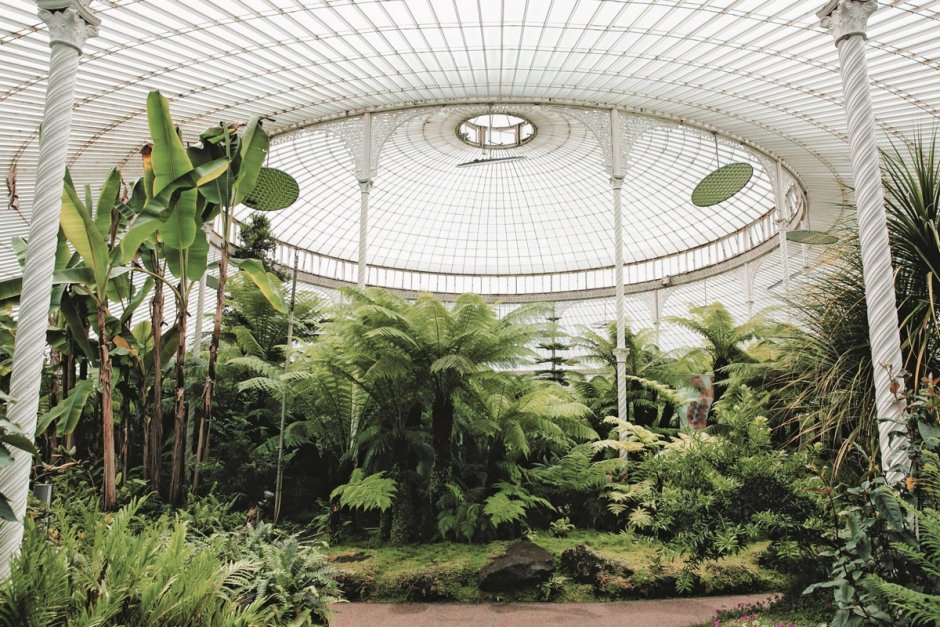 Дворец киббла Ботанический сад Глазго Великобритания