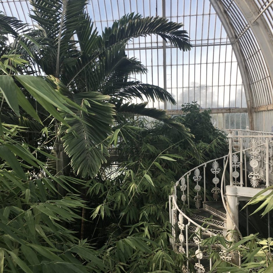 Palm House at Kew Gardens