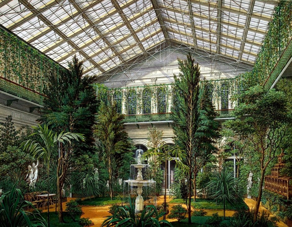 Оранжерея ботанического сада Петра Великого
