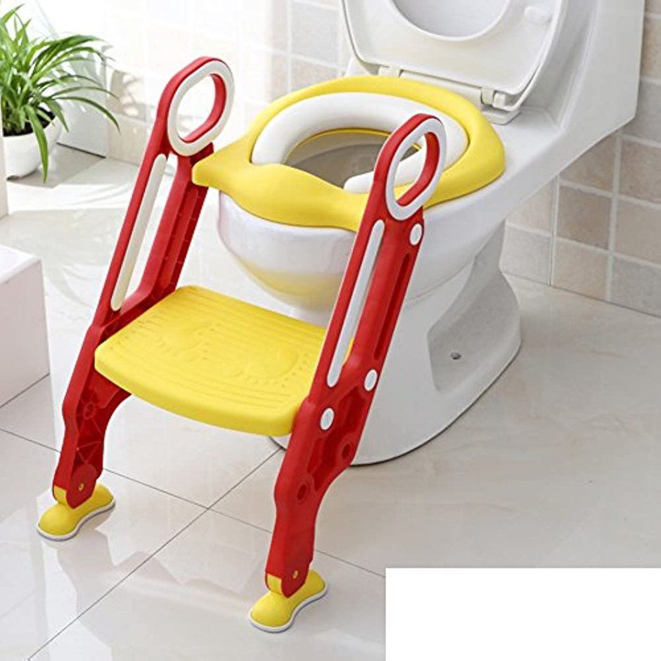 Baby Potty Seat