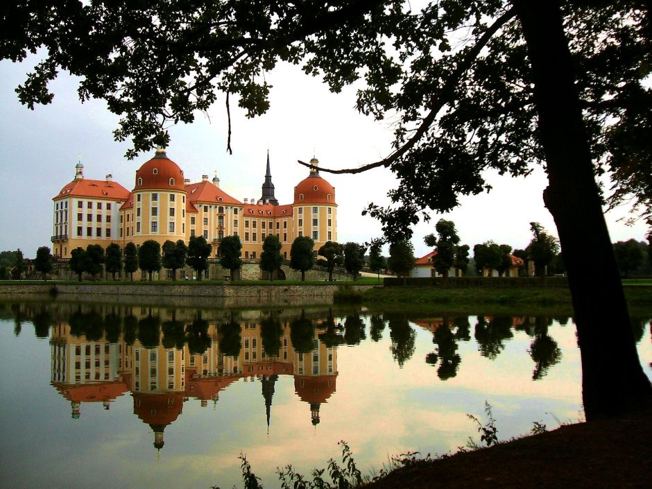 Дворец Морицбург