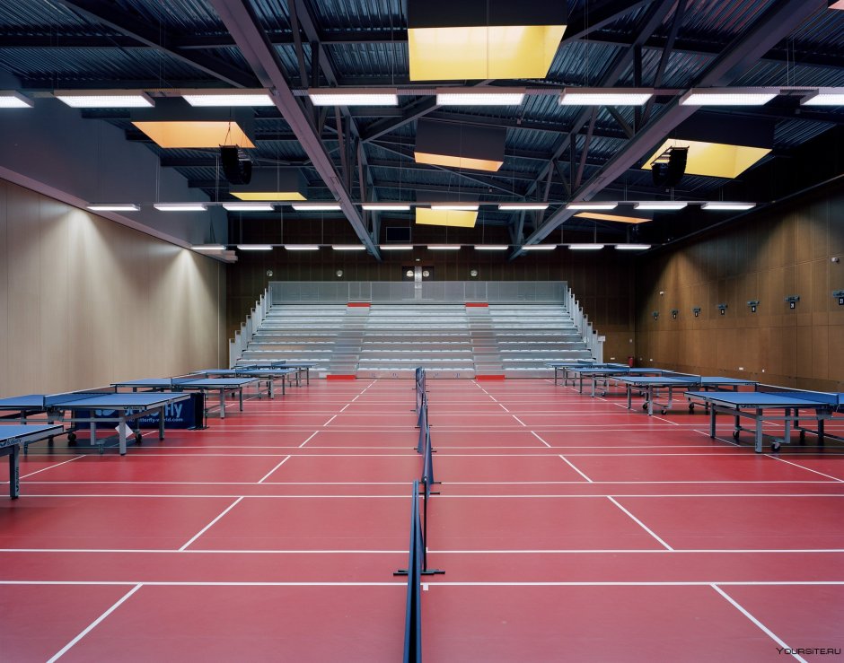 Спортивный зал настольный теннис