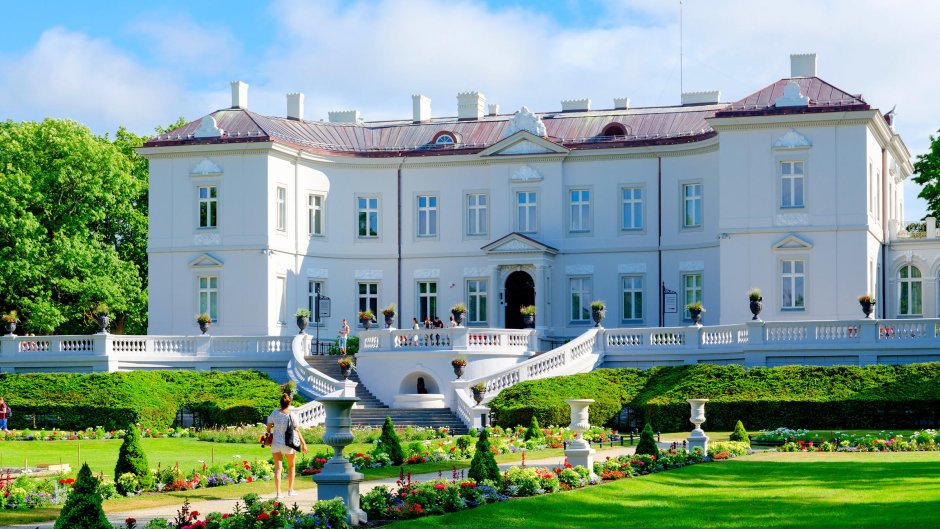 Роза Паланга