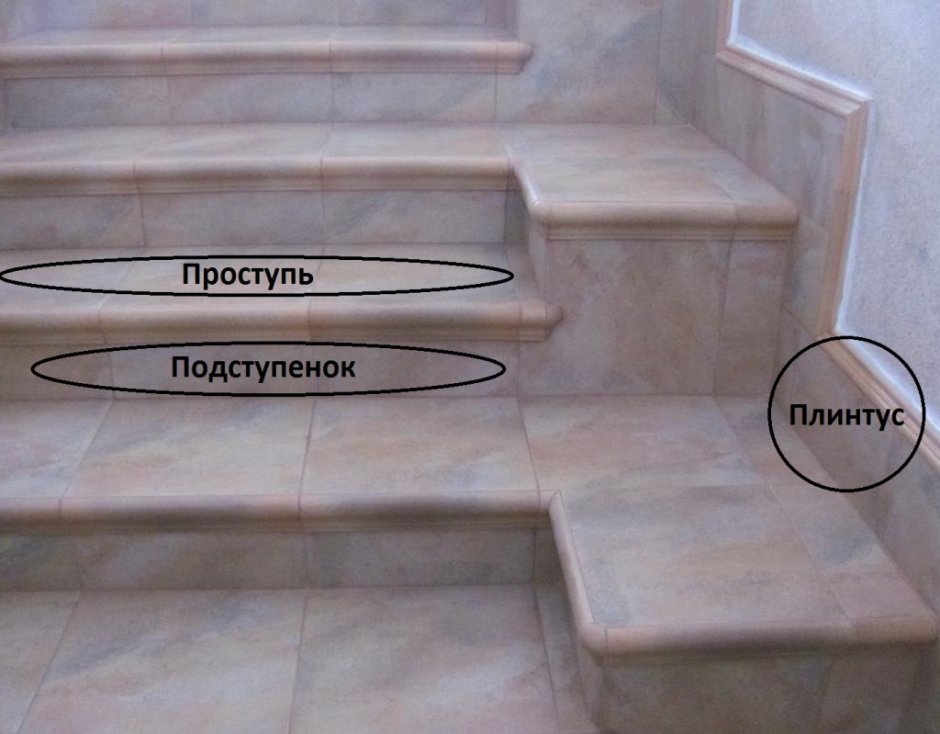 Лестница белые ступени темные подступенки