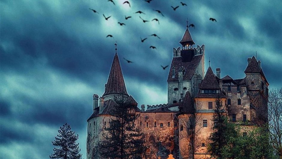 Румыния холодный лес замок