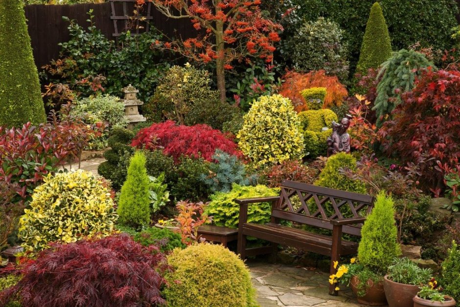 Английский сад с хвойниками