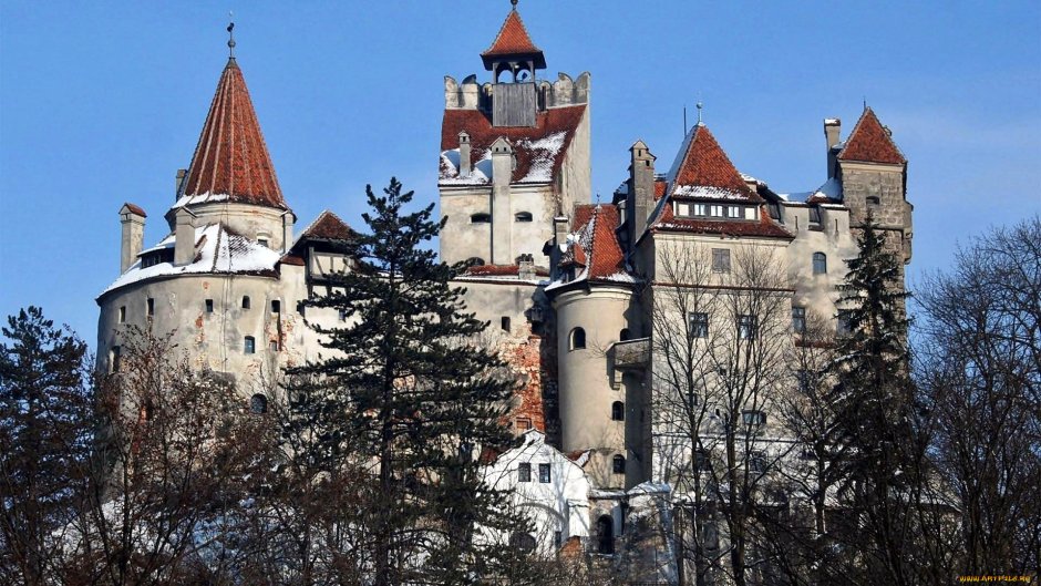 Замок Хунедоара Румыния