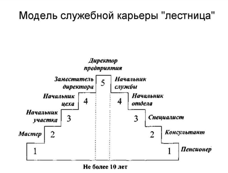 Модель лестница карьера