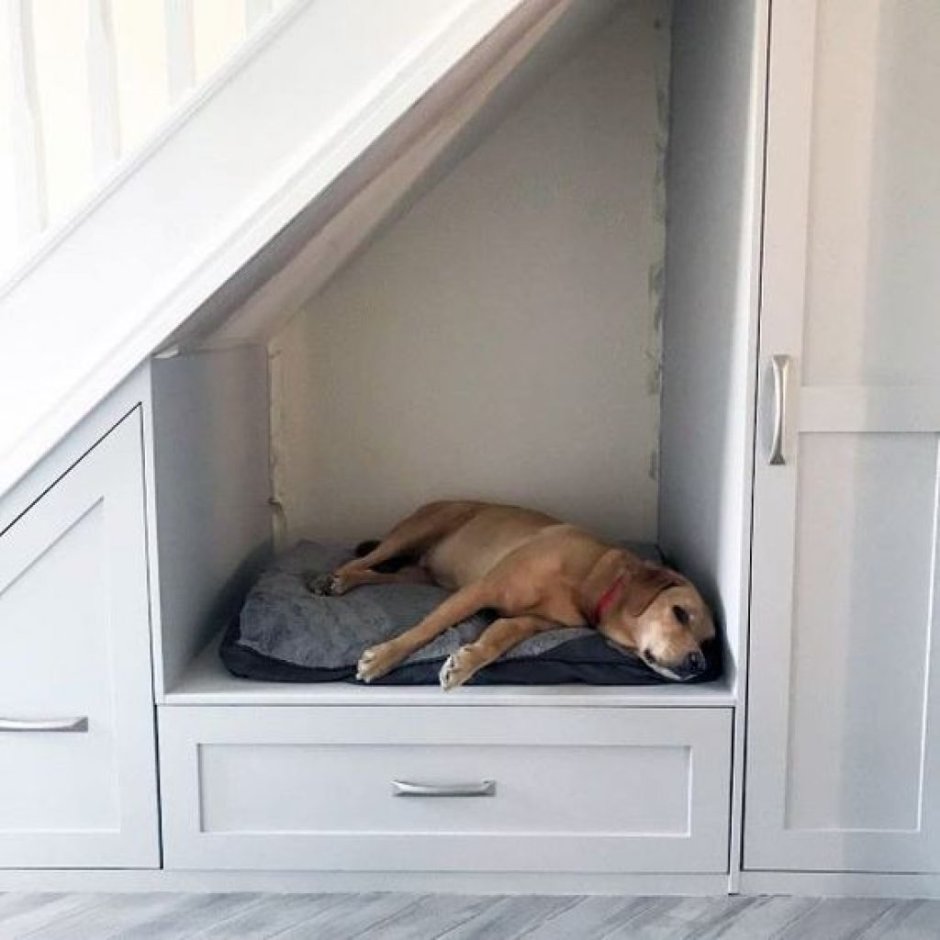 Лежак для собаки под лестницей