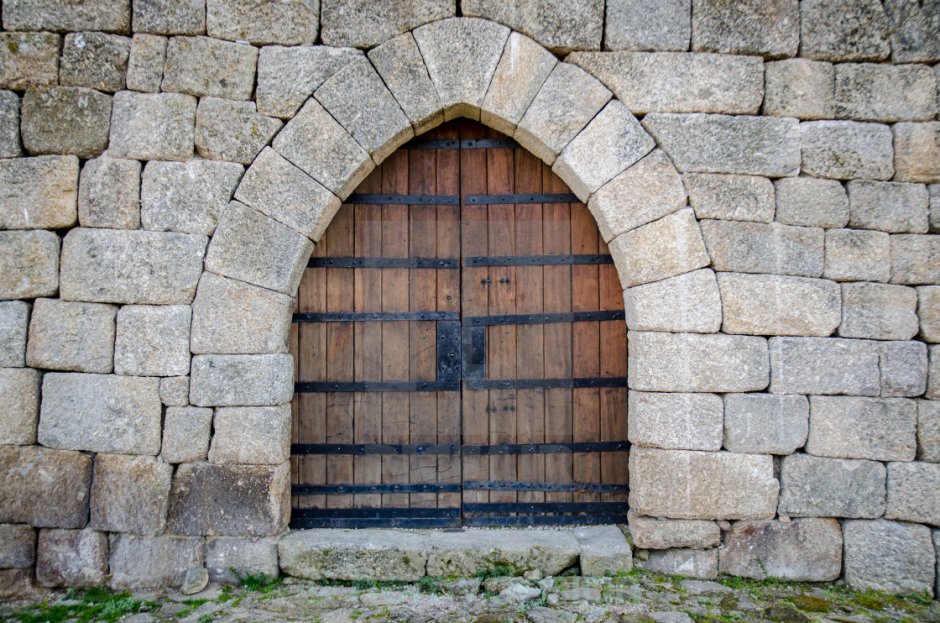 Castle Door vector