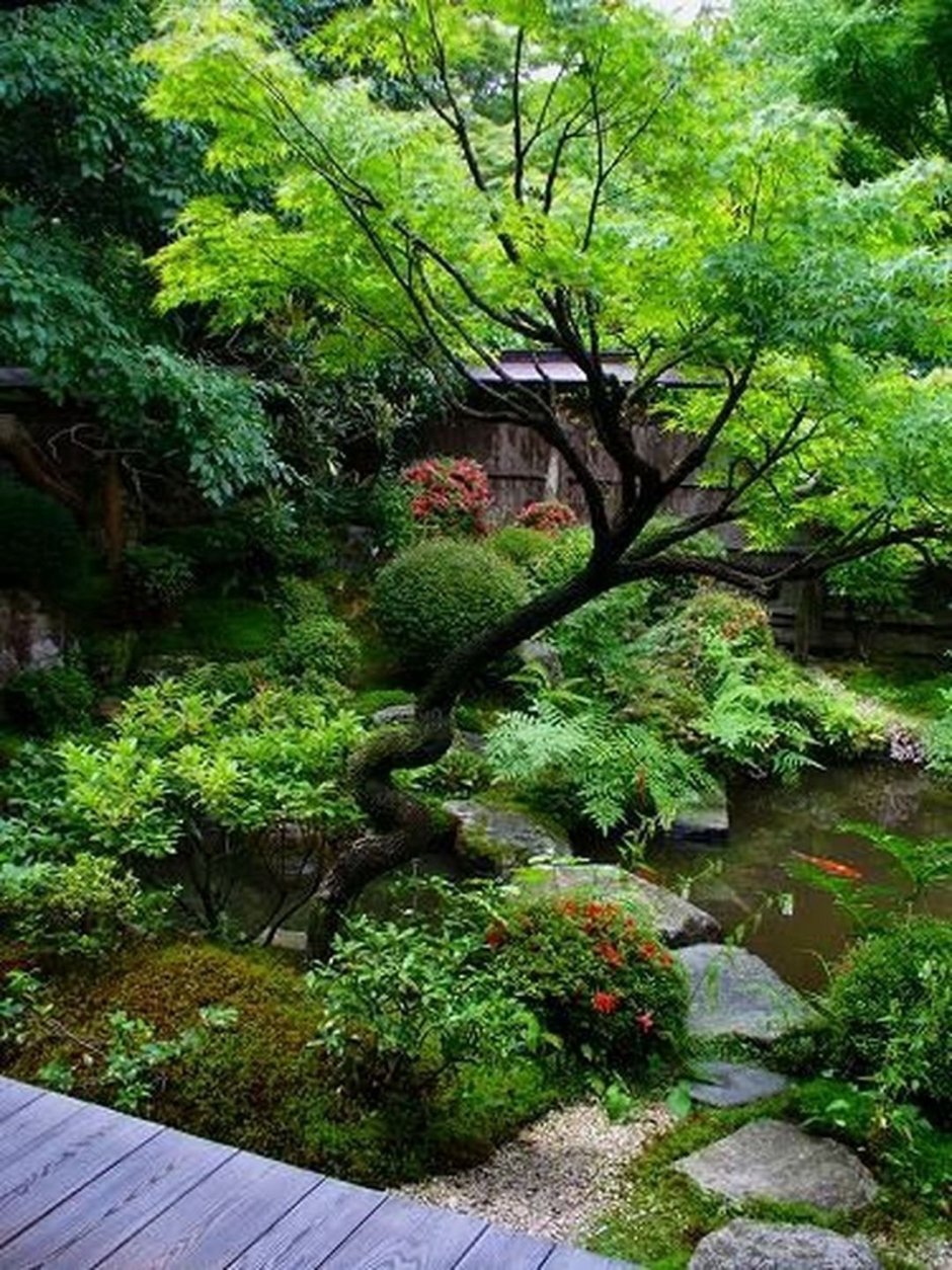 Дендра парк японский сад 2001