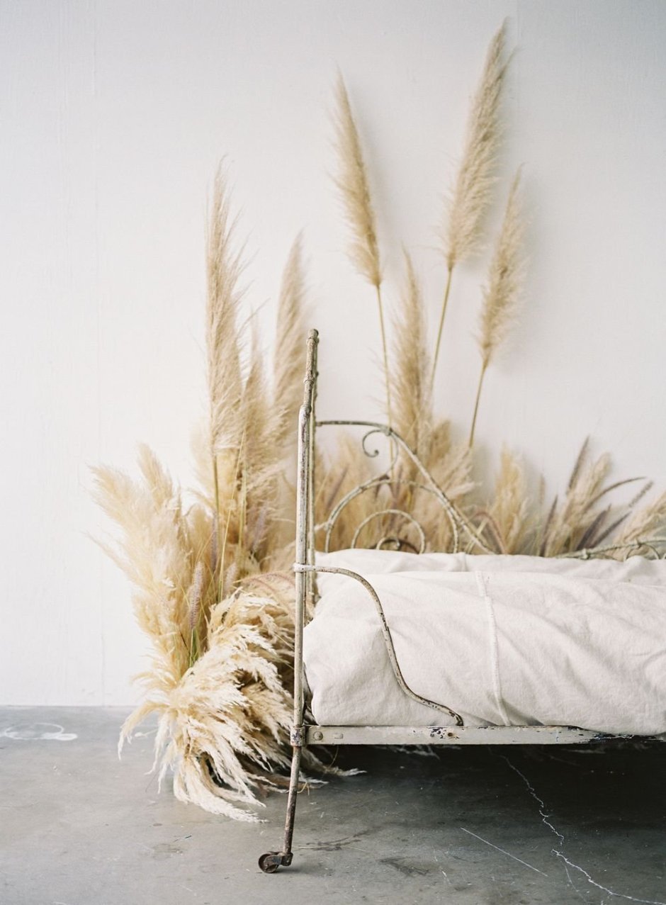 Кровать фотостудия пампасная трава