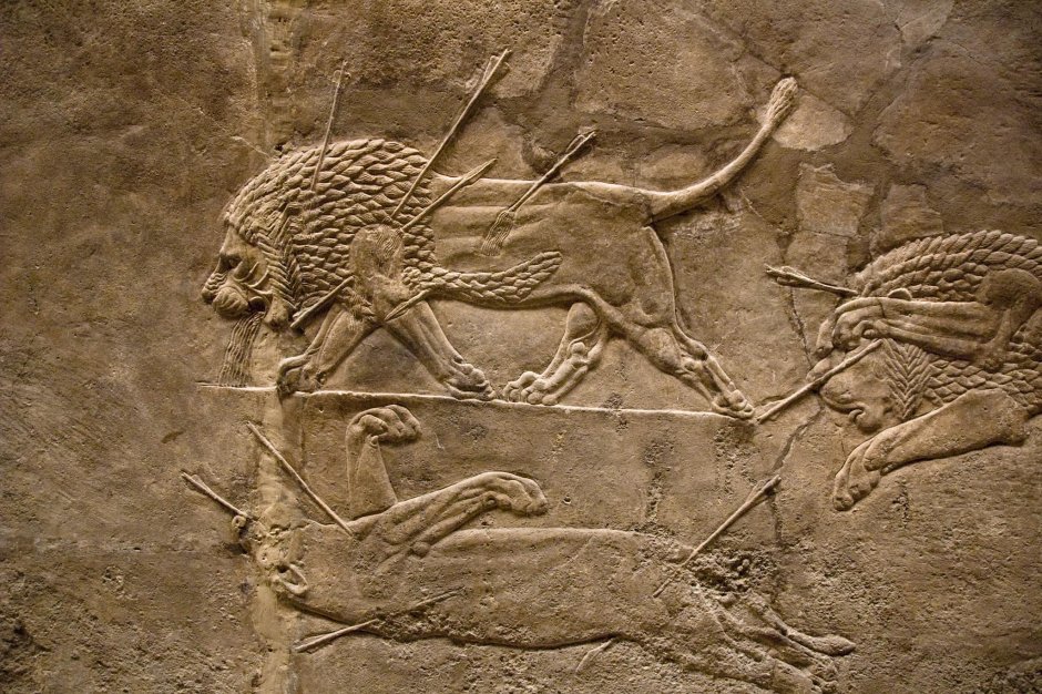 Рельефы Ассирии охота на Льва