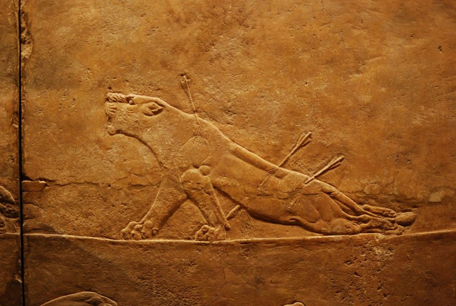 Рельеф раненая львица Ассирия