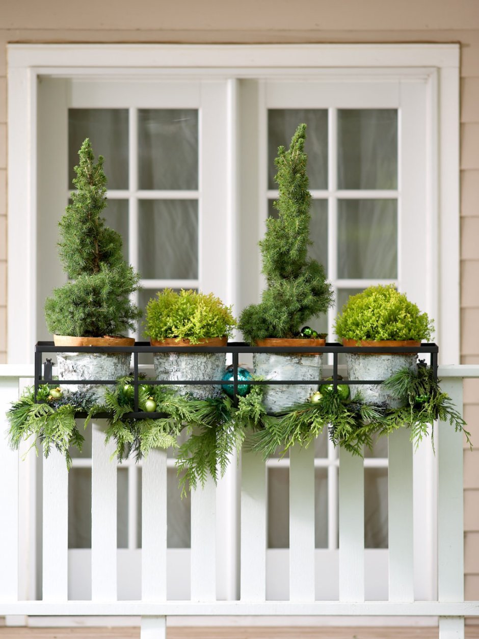 Декор окна растениями