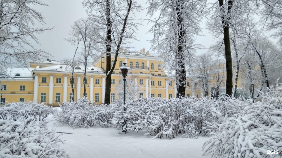 СПБ усадьба Державина интерьер