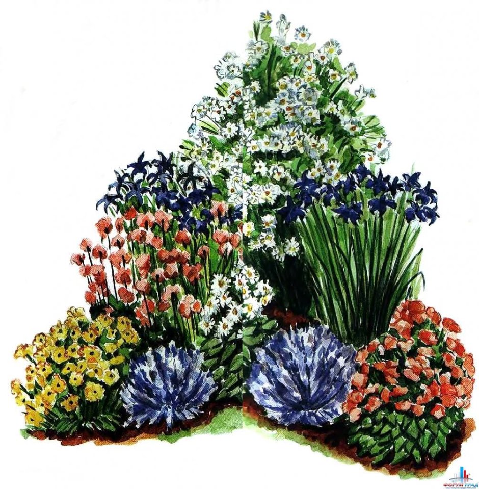 Миксовые клумбы