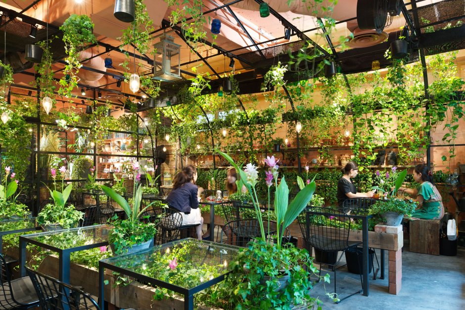 Заброшенная оранжерея the Greenhouse Франция