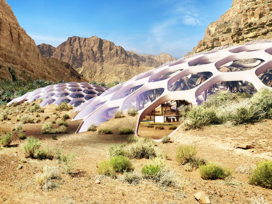 Архитектура в пустыне