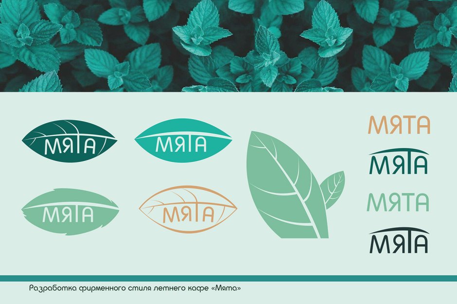 Мята в ландшафтном дизайне