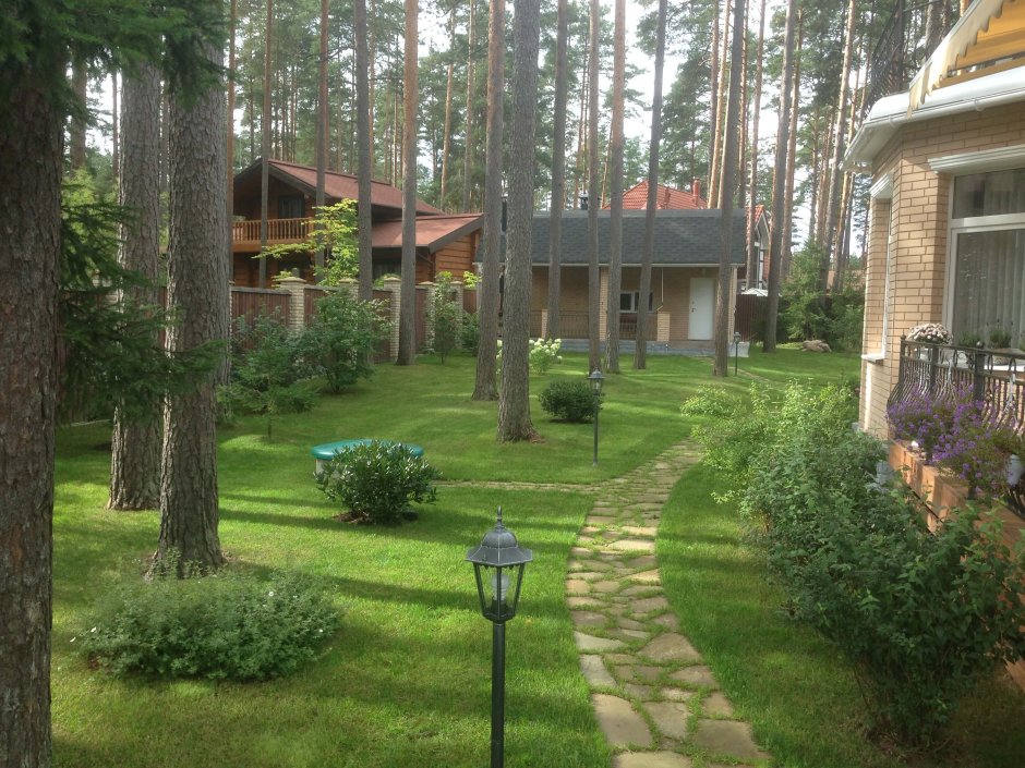Туя Смарагд и Барбарис