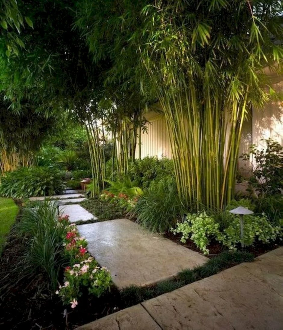 Сад в тропическом стиле
