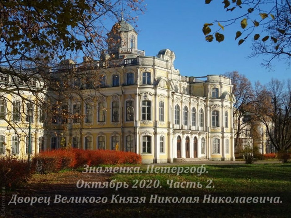 Знаменка дворец Николая Николаевича