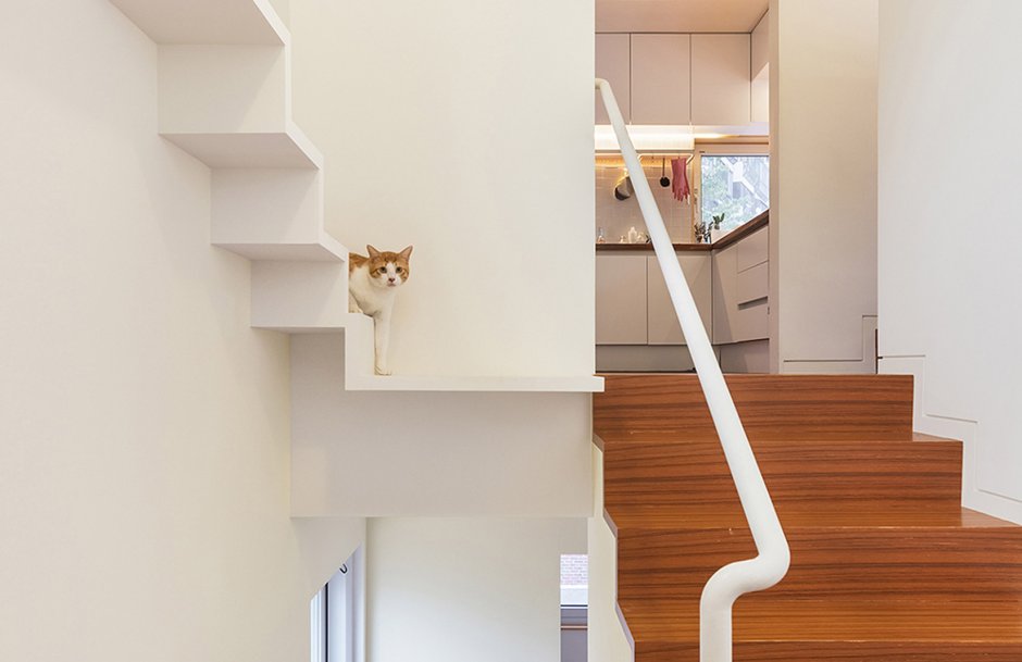 Кошачья лестница