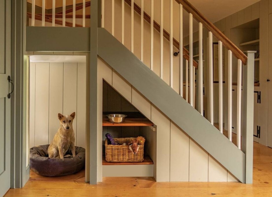 Пространство под лестницей для собаки