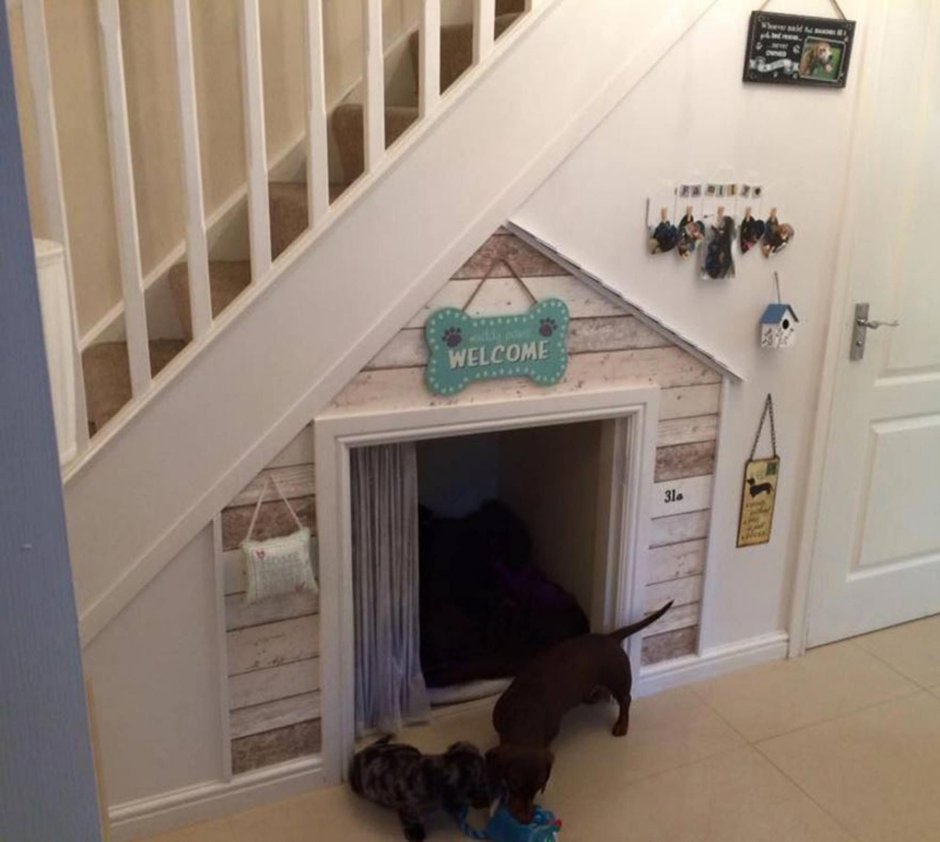 Комната для собаки под лестницей