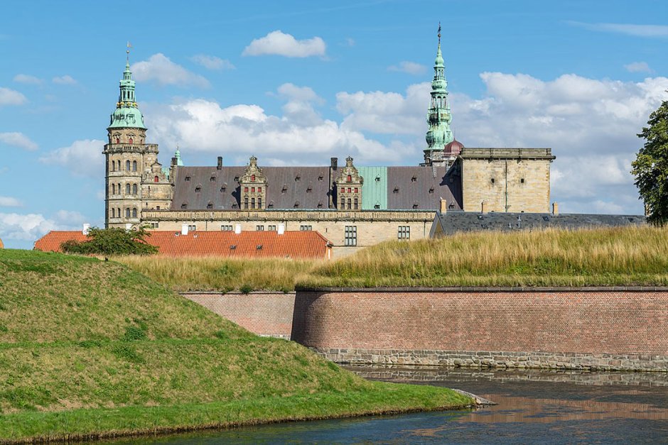 Rosa &#96;Kronborg Castle&#96;