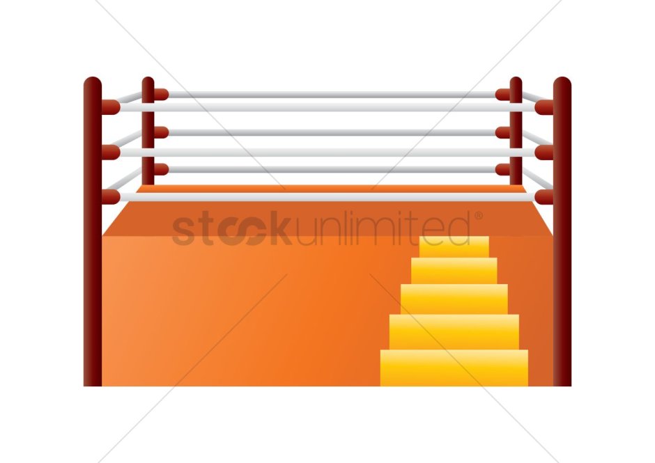 Ринг бокса изнутри