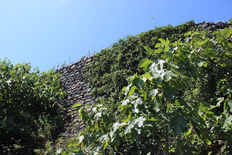 Дача Сталина новый Афон Абхазия смотровая