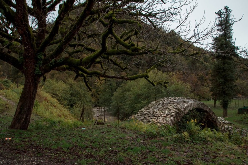 Принц одельбургский Абхазия
