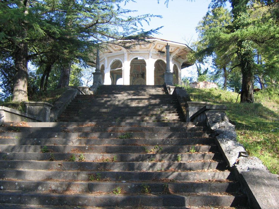 Абхазия инжирное дерево