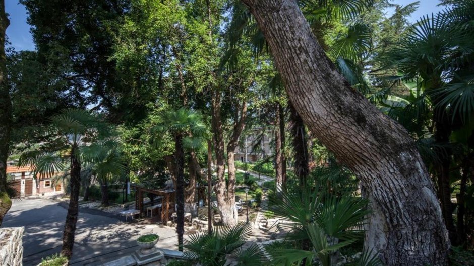 Парк Сухумская гора