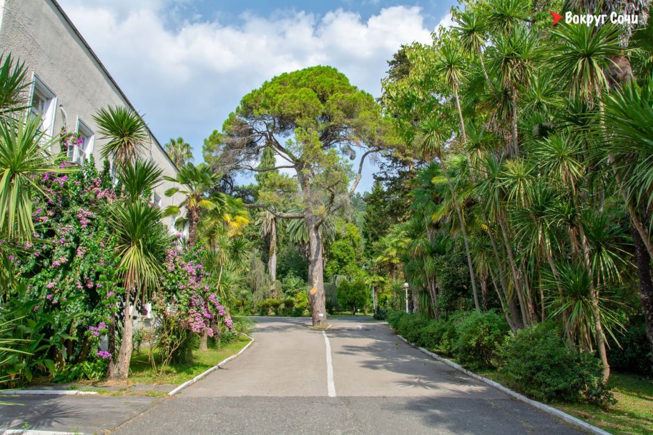 Фуникулер Абхазия Сухум