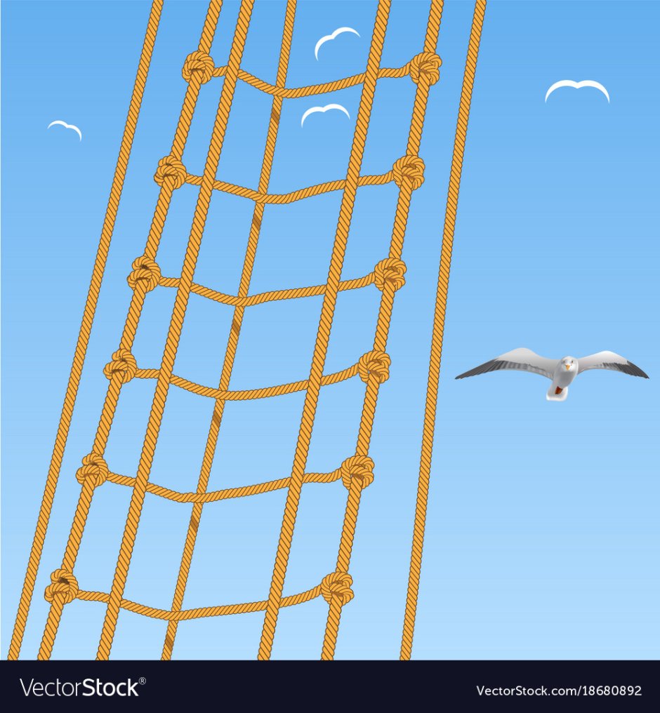 Лесенка Wilson Ladder