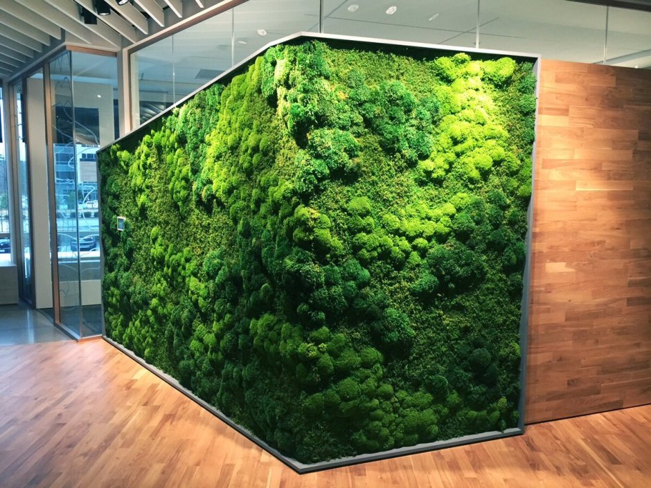 Зелень на стене в интерьере