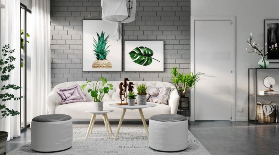 Белая комната с растениями