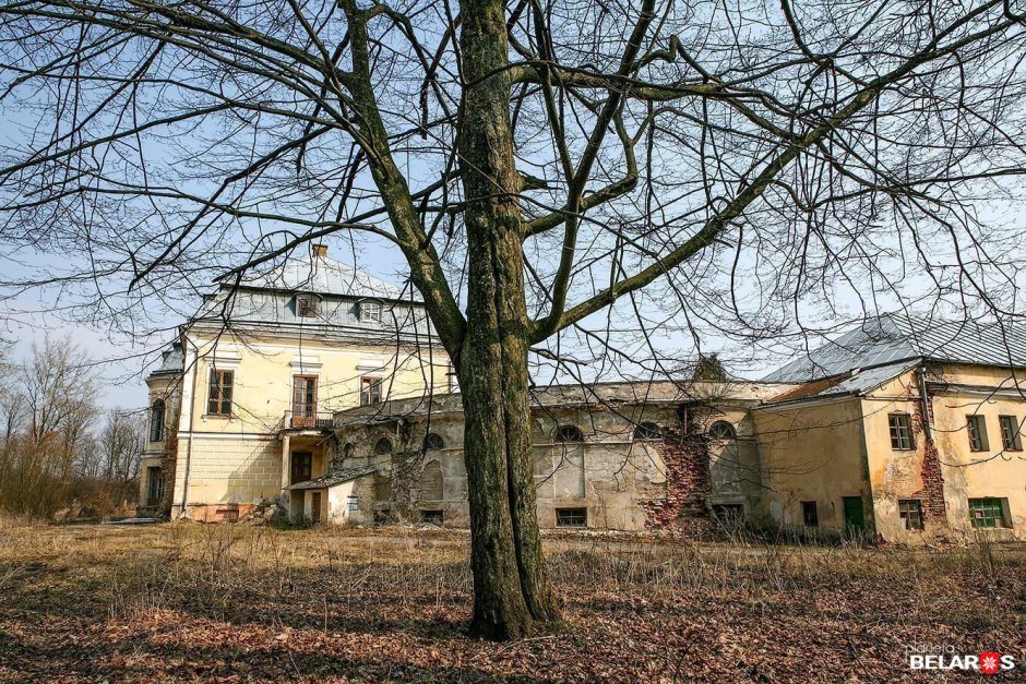 Эдуард ГАУ (1807-1887) Эрмитаж. Зимний сад