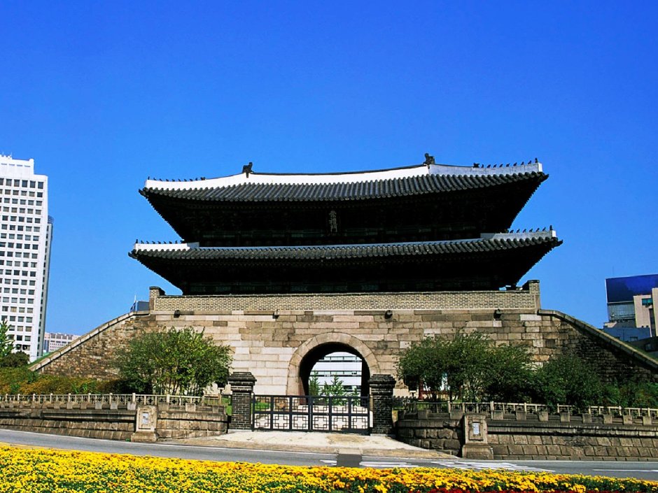 Корея дворец кёнбоккун цветение Сакуры